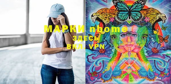 прущие грибы Каменск-Шахтинский