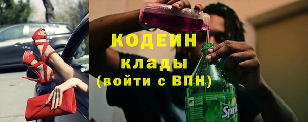прущие грибы Каменск-Шахтинский