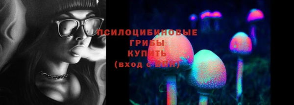 a pvp Каменногорск