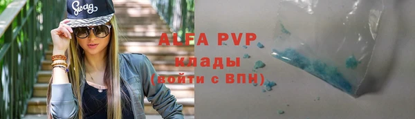 прущие грибы Каменск-Шахтинский