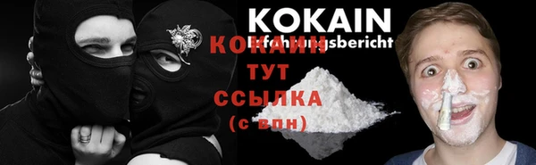 a pvp Каменногорск