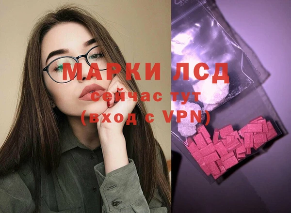 прущие грибы Каменск-Шахтинский