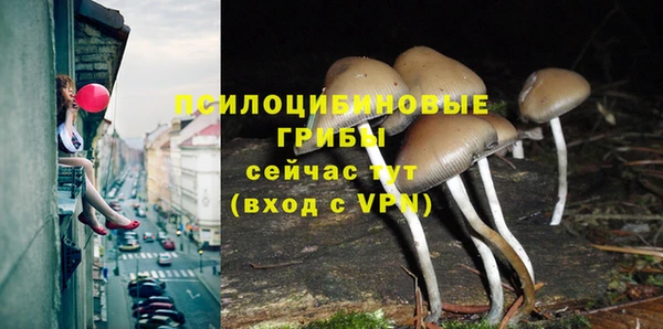 a pvp Каменногорск