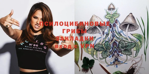 кокаин Каменка