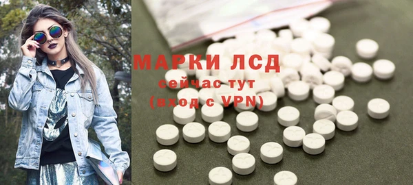 a pvp Каменногорск
