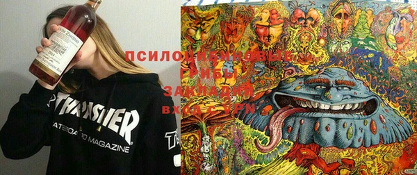 кокаин Каменка