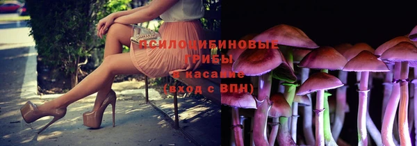 кокаин Каменка