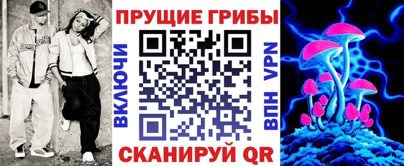 Купить закладки  Инта  Псилоцибиновые грибы GOLDEN TEACHER 